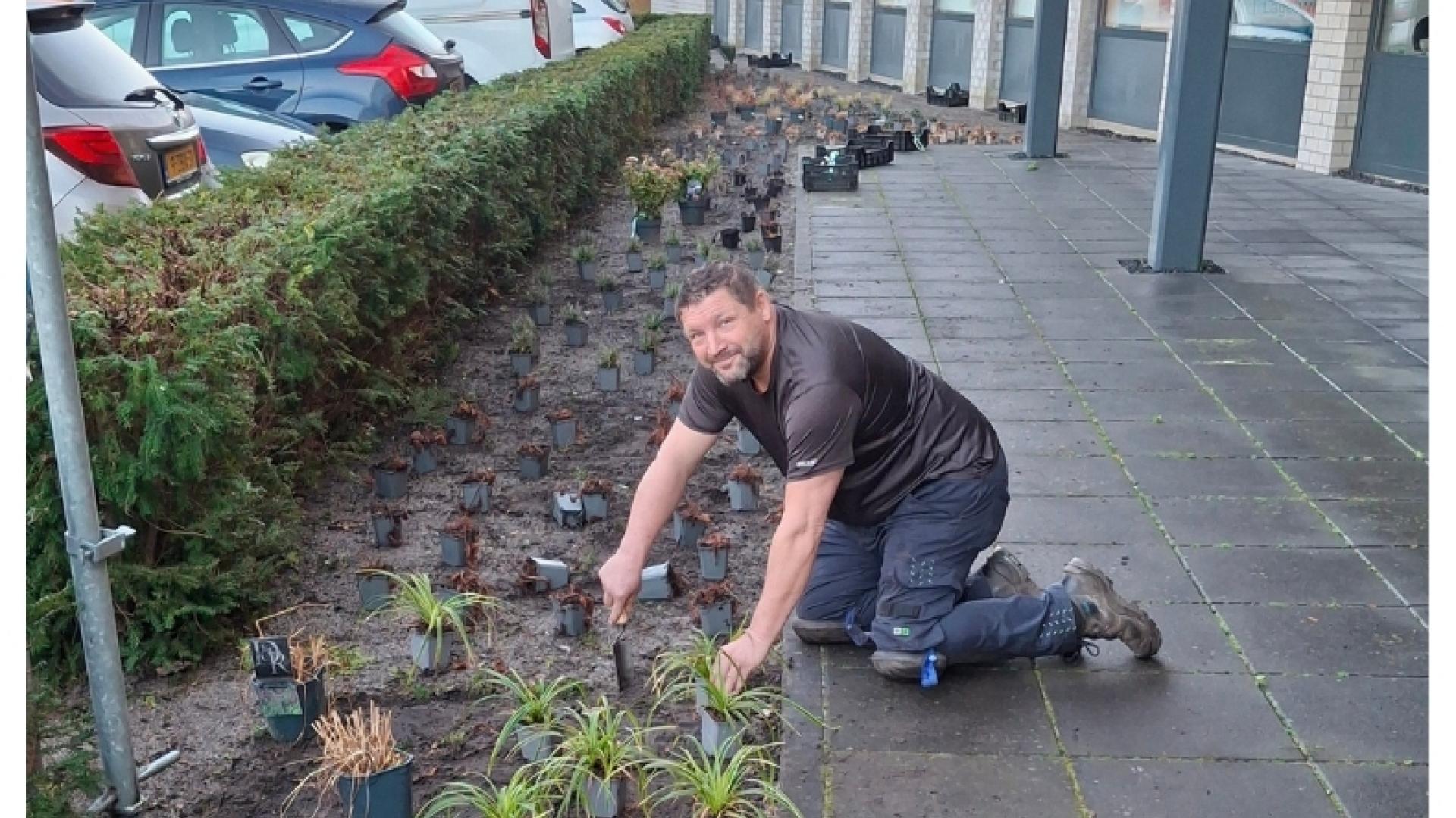 plantjes op nbw