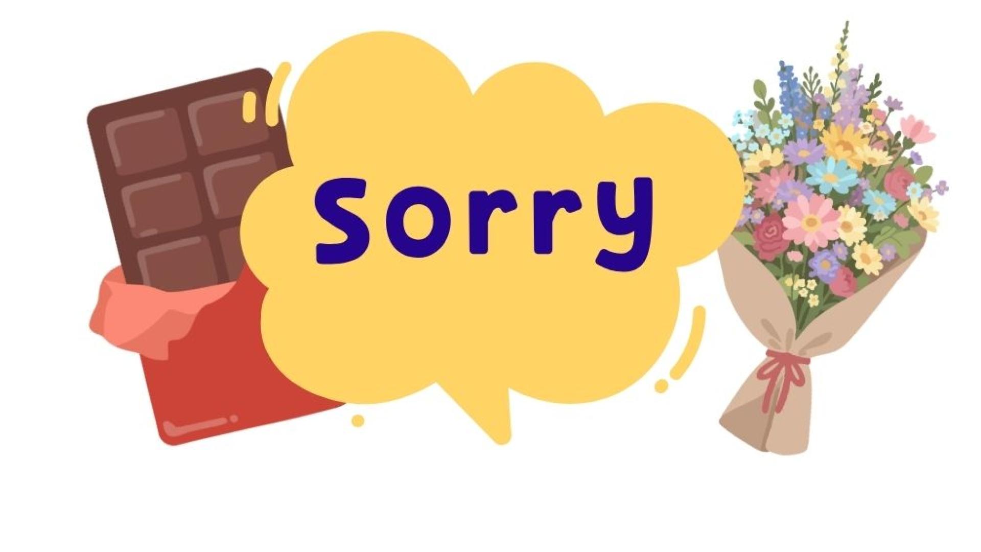 sorry zeggen