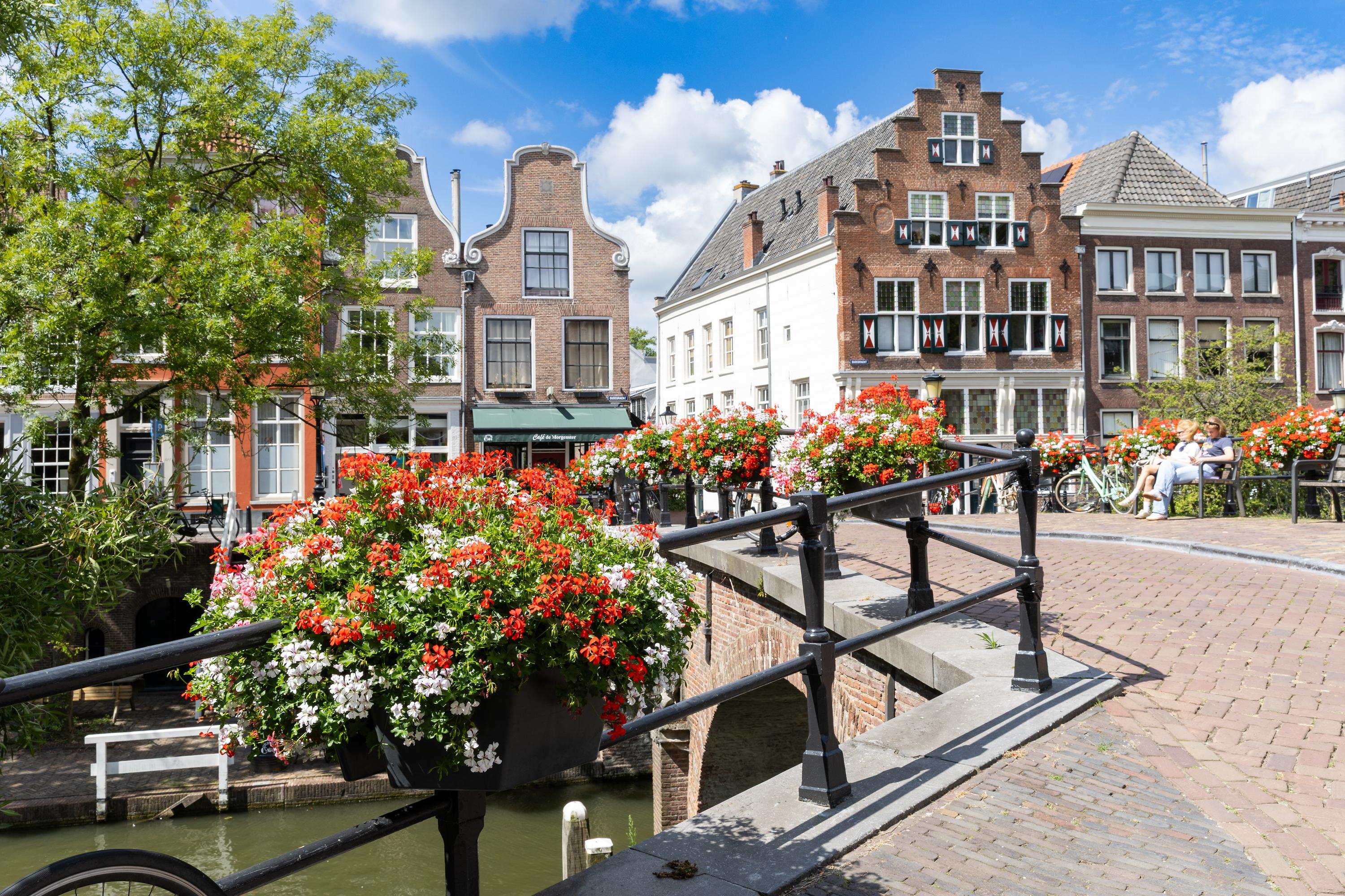 Bloemen in de stad